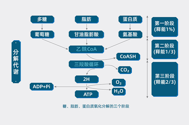 &#21315;&#20159;&#23448;&#32593;&#45;&#21315;&#20159;&#65288;&#20013;&#22269;&#65289;&#19968;&#31449;&#24335;&#26381;&#21153;&#23448;&#32593;