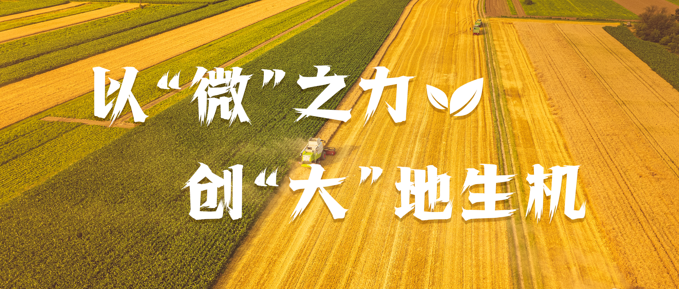 &#21315;&#20159;&#23448;&#32593;&#45;&#21315;&#20159;&#65288;&#20013;&#22269;&#65289;&#19968;&#31449;&#24335;&#26381;&#21153;&#23448;&#32593;